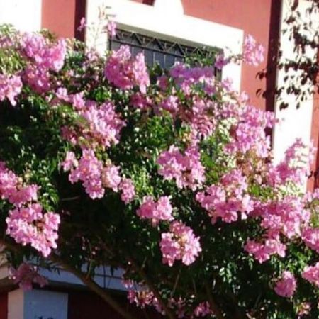 Casa Bignonia Villa Salteras ภายนอก รูปภาพ