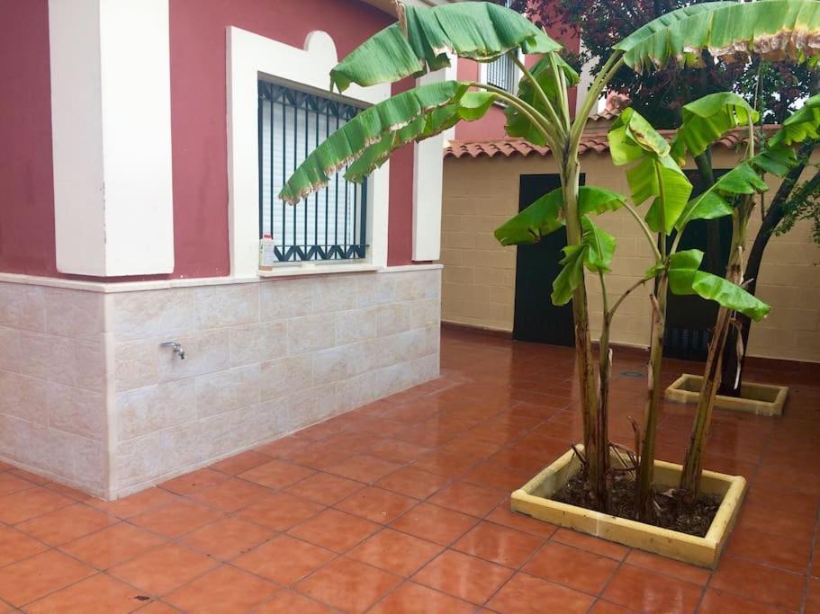 Casa Bignonia Villa Salteras ภายนอก รูปภาพ