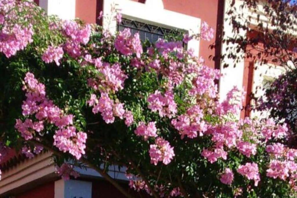 Casa Bignonia Villa Salteras ภายนอก รูปภาพ